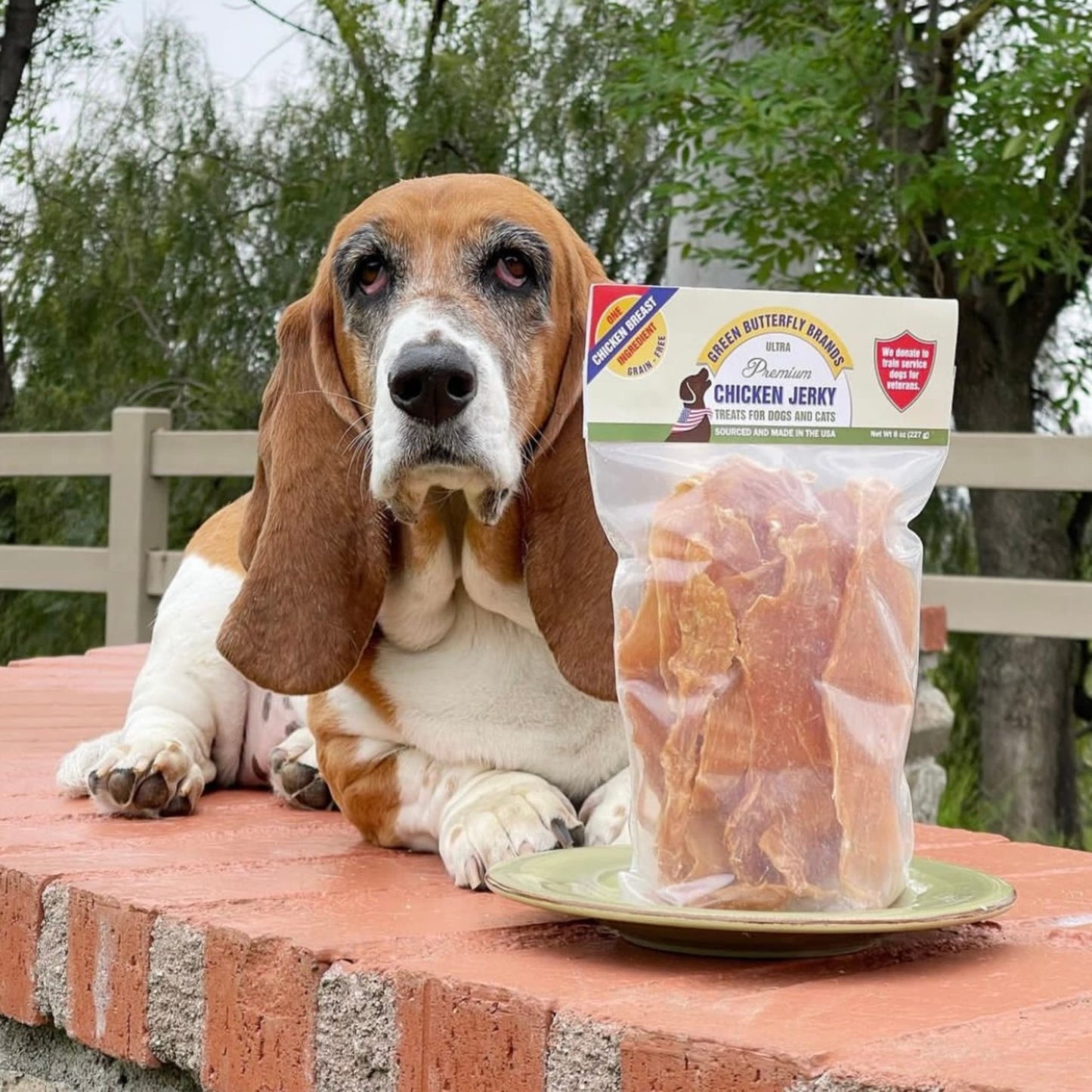 Green Butterfly Brands Chicken Jerky - Dog Treats Made in USA Only - 1 Ingredient: USDA Grade A Chicken Breast - No Additives or Preservatives - Grain Free Snack, All Natural Premium Strips, 8 Ounces