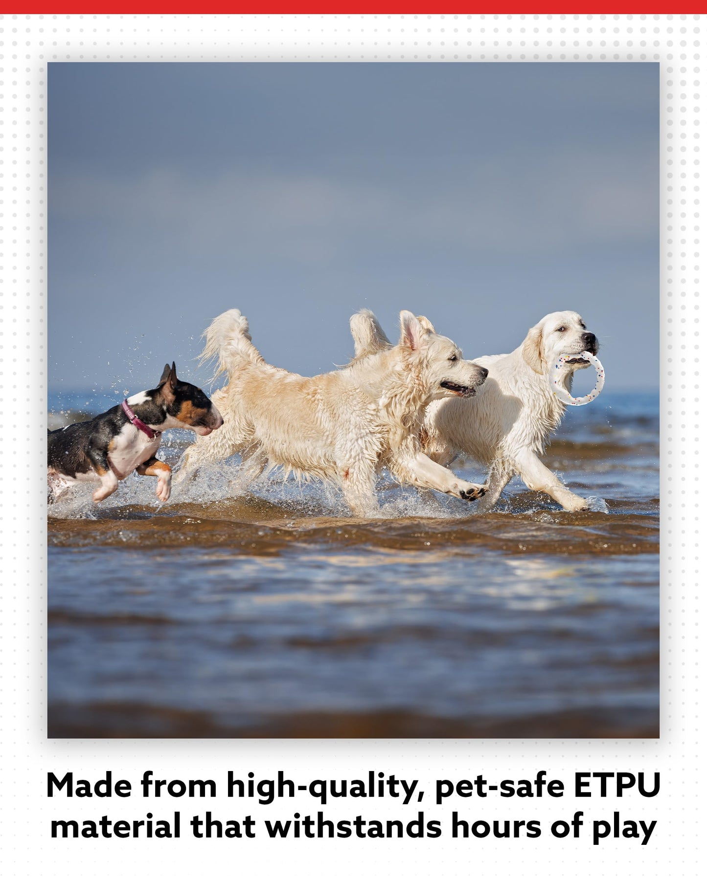 ALPI Chomp Ring - Durable, Soft, & Squishy Bite Puppy Toys for Dogs & Other Pets - Stimulating Dog Toys for Sensory Play & Fun (Large)