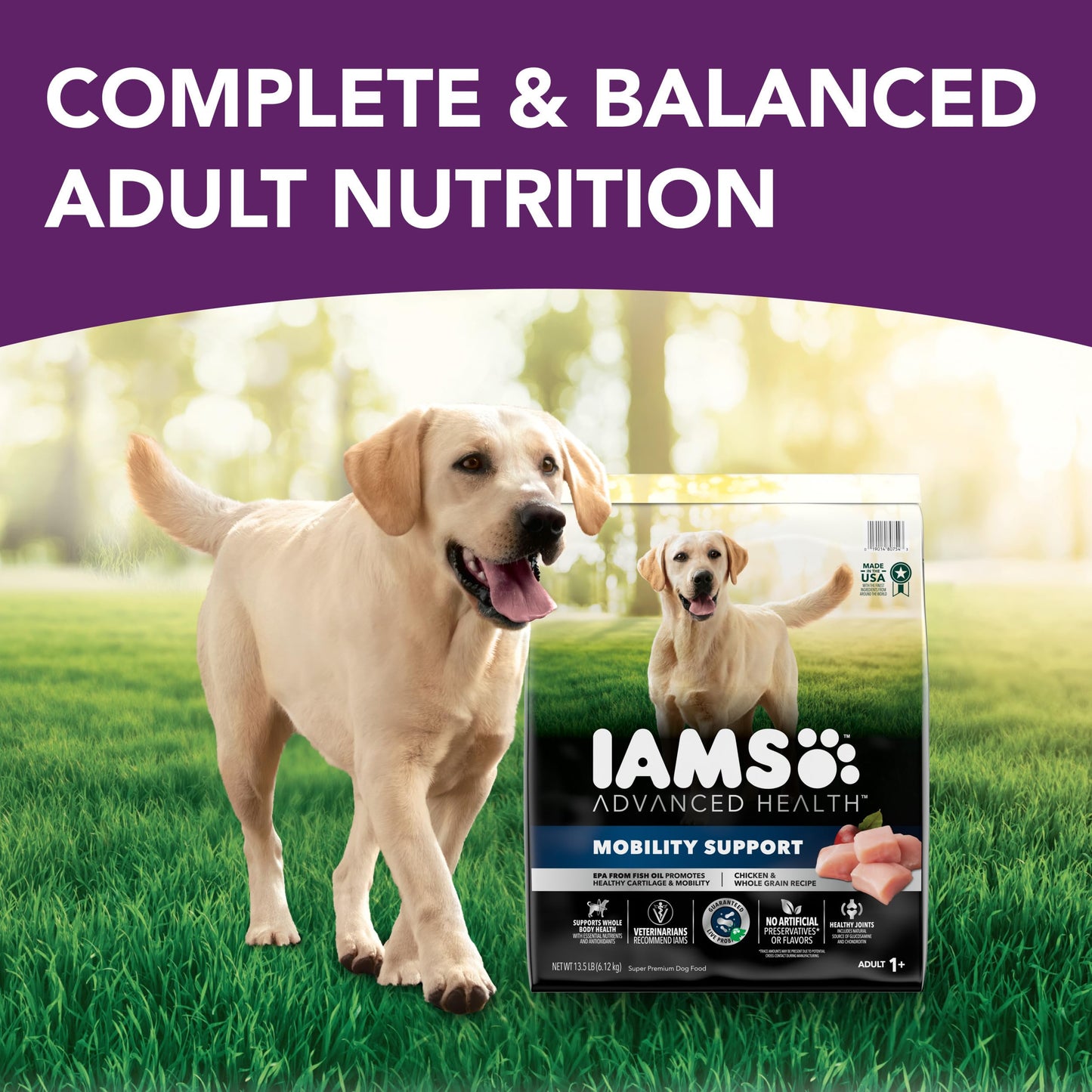 IAMS Advanced Health Mobility Support Chicken and Whole Grain Recipe Adult Dry Dog Food, 13.5 lb. Bag