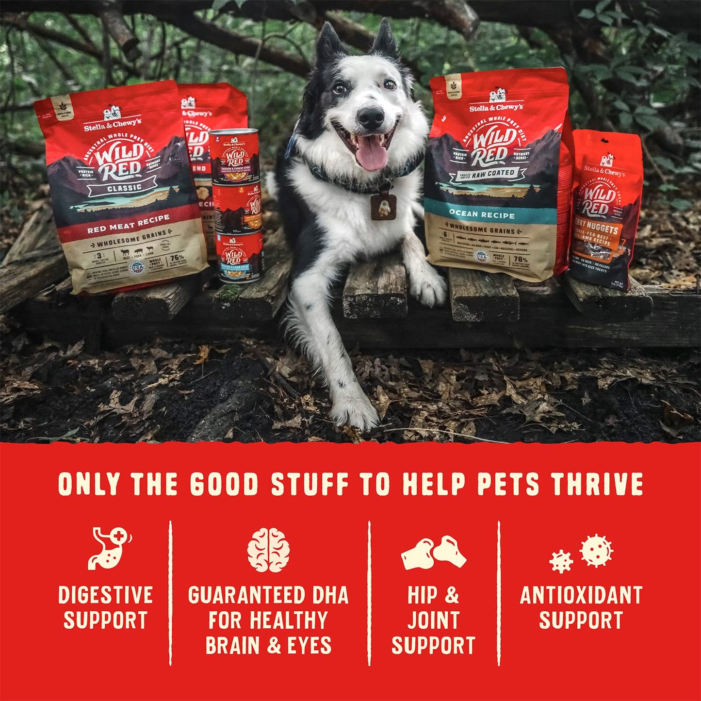 Stella & Chewy's Wild Red Raw Blend Kibble - Premium Freeze-Dried Raw Coated Dog Food - Perfect For Picky Eaters - High Protein Grain Free with 6 Poultry Sources - 3.5lb Bag