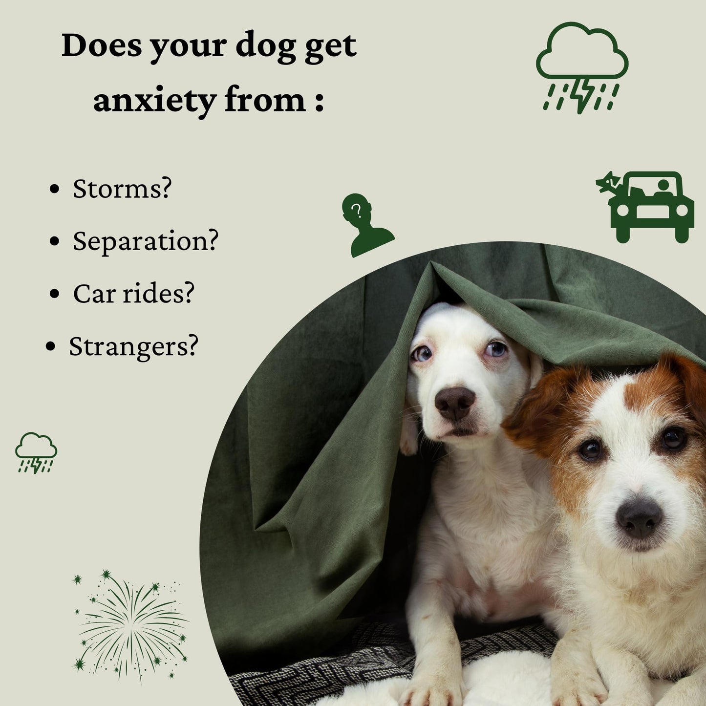 Elevated Pets Calming Dog Treats for Anxiety Relief – Melatonin, Chamomile & L-Theanine | Sleep & Stress Support for Travel, Thunder, Barking