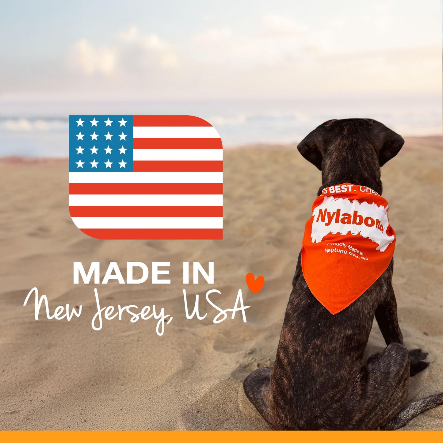 Nylabone Healthy Edibles Natural Puppy Chews Long Lasting Treats for Puppies, Turkey & Sweet Potato Flavor, X-Small/Petite (8 Count)
