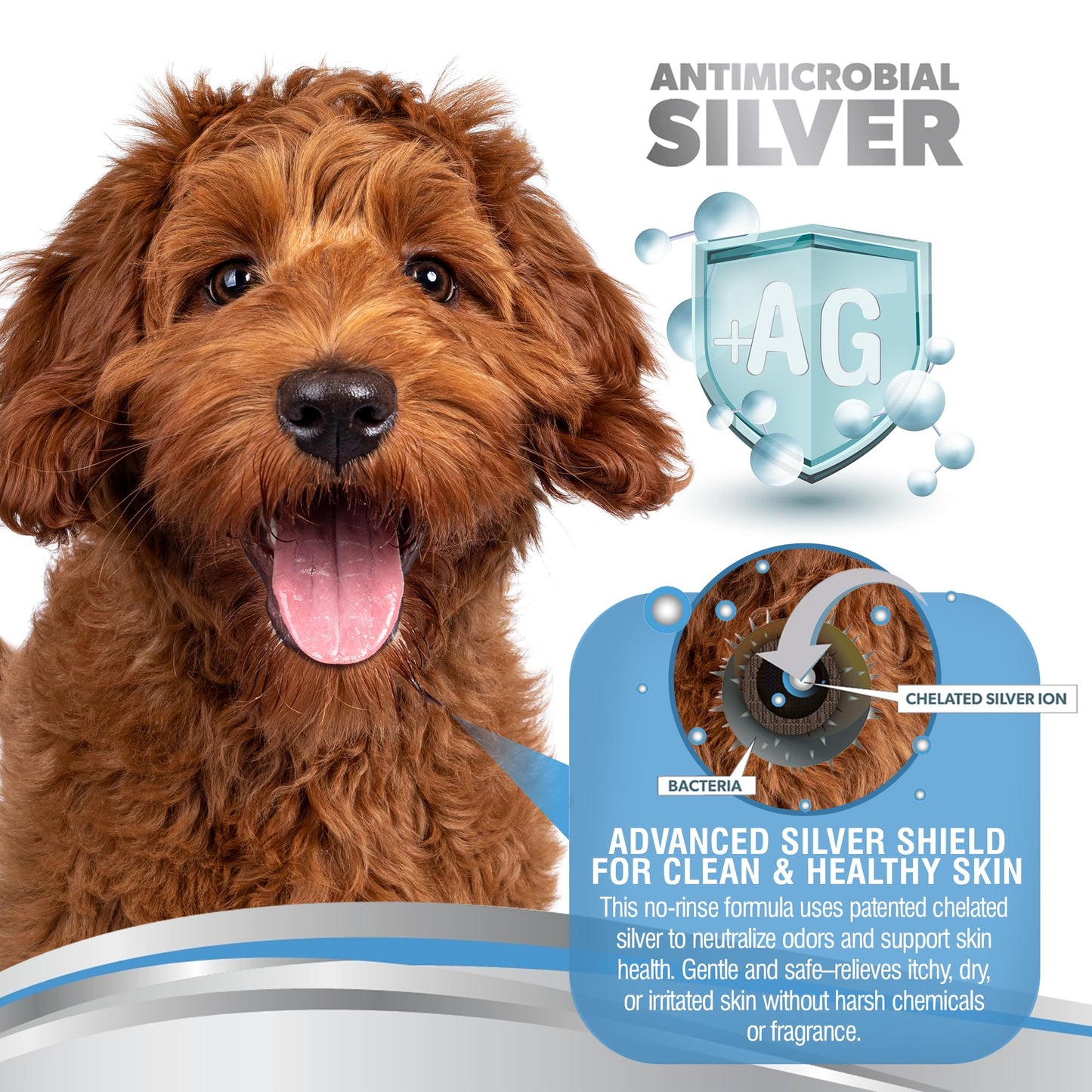 PetSilver Waterless Dog Shampoo - No Rinse Bath & Dry Shampoo for Dogs - Odor Control for Smelly Coats - Cleans, Conditions & Moisturizes - Hypoallergenic & Fragrance-Free - Patented Silver - 5 fl oz