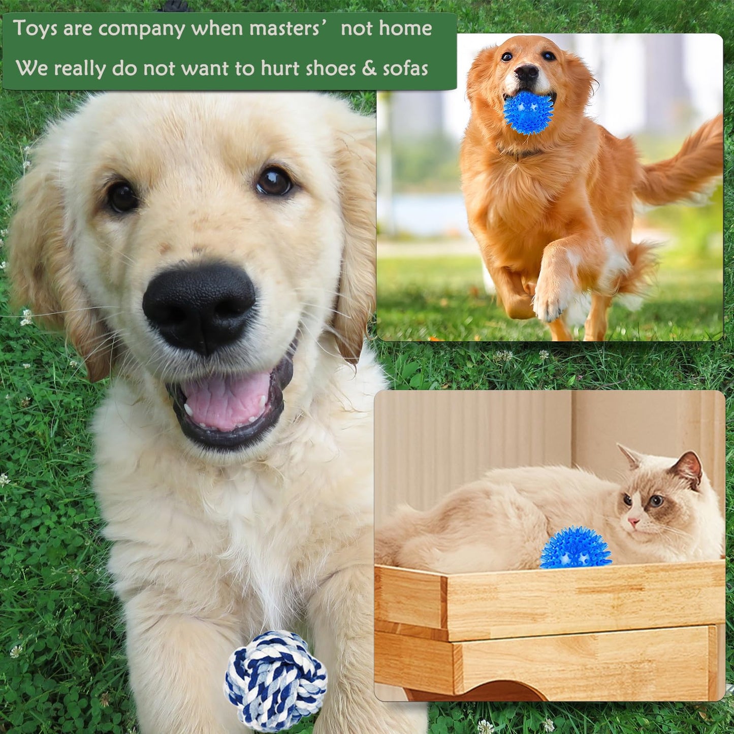 Dog Toy Balls for Small Dogs, 12 Pack Interactive Dog Toys for Small Breed 0-15 lbs, Includes Rubber, Squeak & Rope Balls