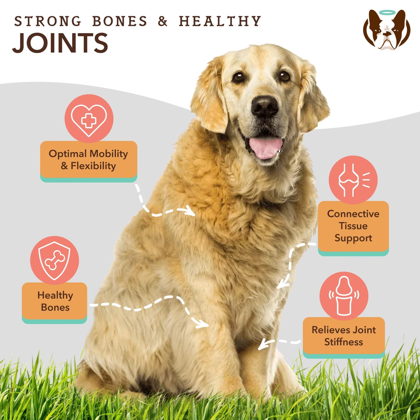 Natural Dog Company Healthy Joints, Skin and Coat Bundle for Dogs, Includes (1) Bottle Natural Dog Company Skin and Coat Oil, (1) Bottle Liquid Glucosamine, Food Topper, Dog's Fish Oil Supplement