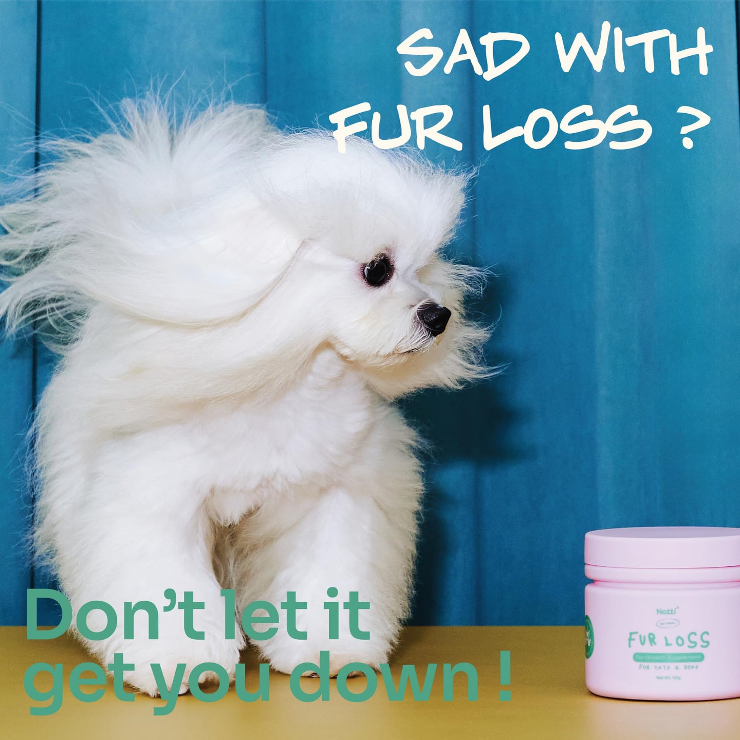 Notti Skin Health Supplement - Supports Fur Regrowth - Itch Relief for Dogs - Healthy Skin & Coat, May Reduce Shedding - Allergy Supplements - Biotin - Antioxidants - Vet Approved - Dogs & Cats