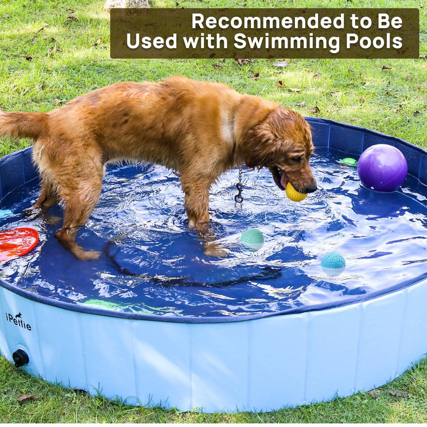 iPettie Summer Floating Dog Ball, Squeaky Water Fetch Toy, Waterproof Rubber Chew Ball, BPA Free, Colorful, 4 Sets, 2.5"