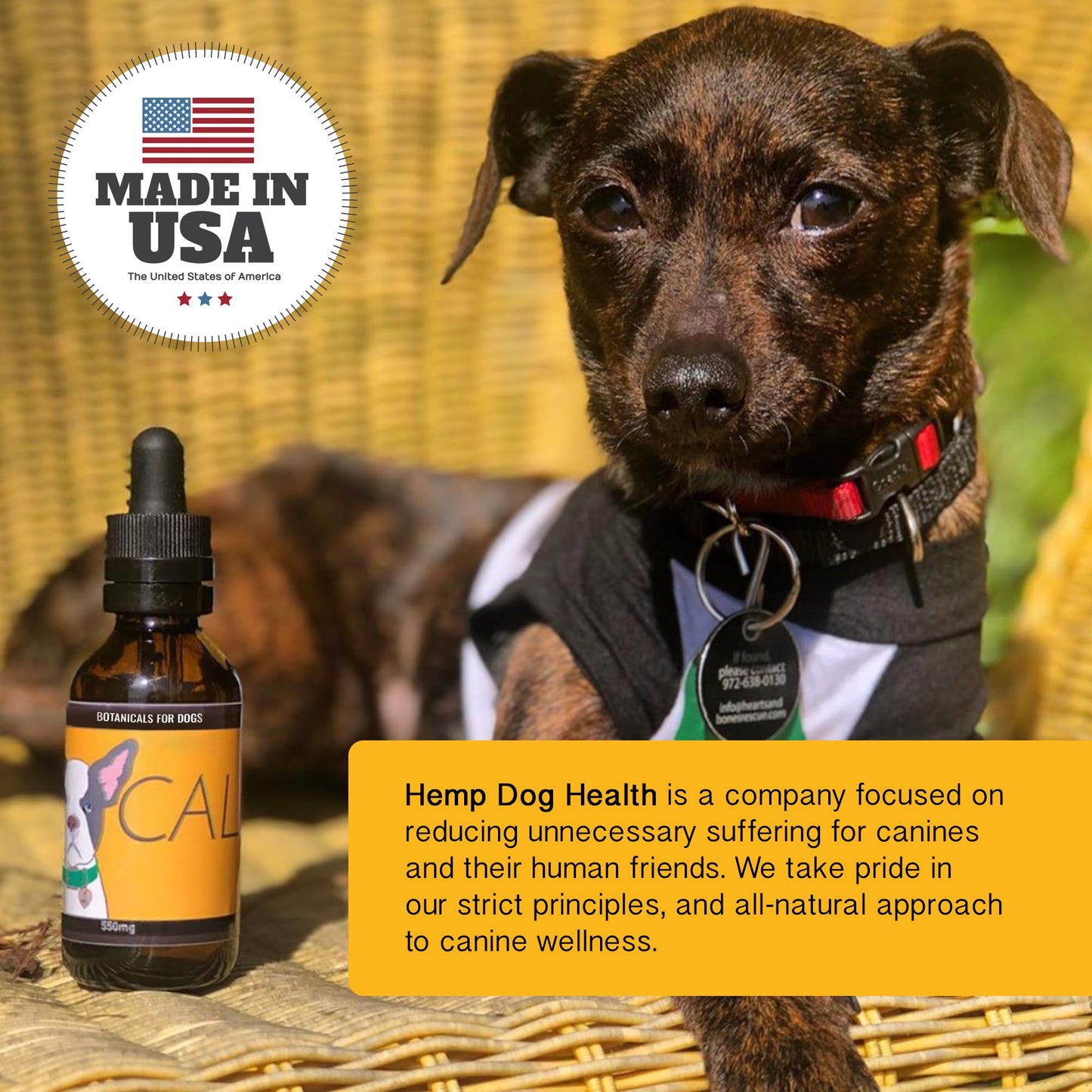 Hemp Dog Health Calm - Pet Hemp Oil for Dogs - Pet Stress Relief & Relaxation - Fireworks, Thunder, Travel, & Separation Support - Natural Dog Calming Drops