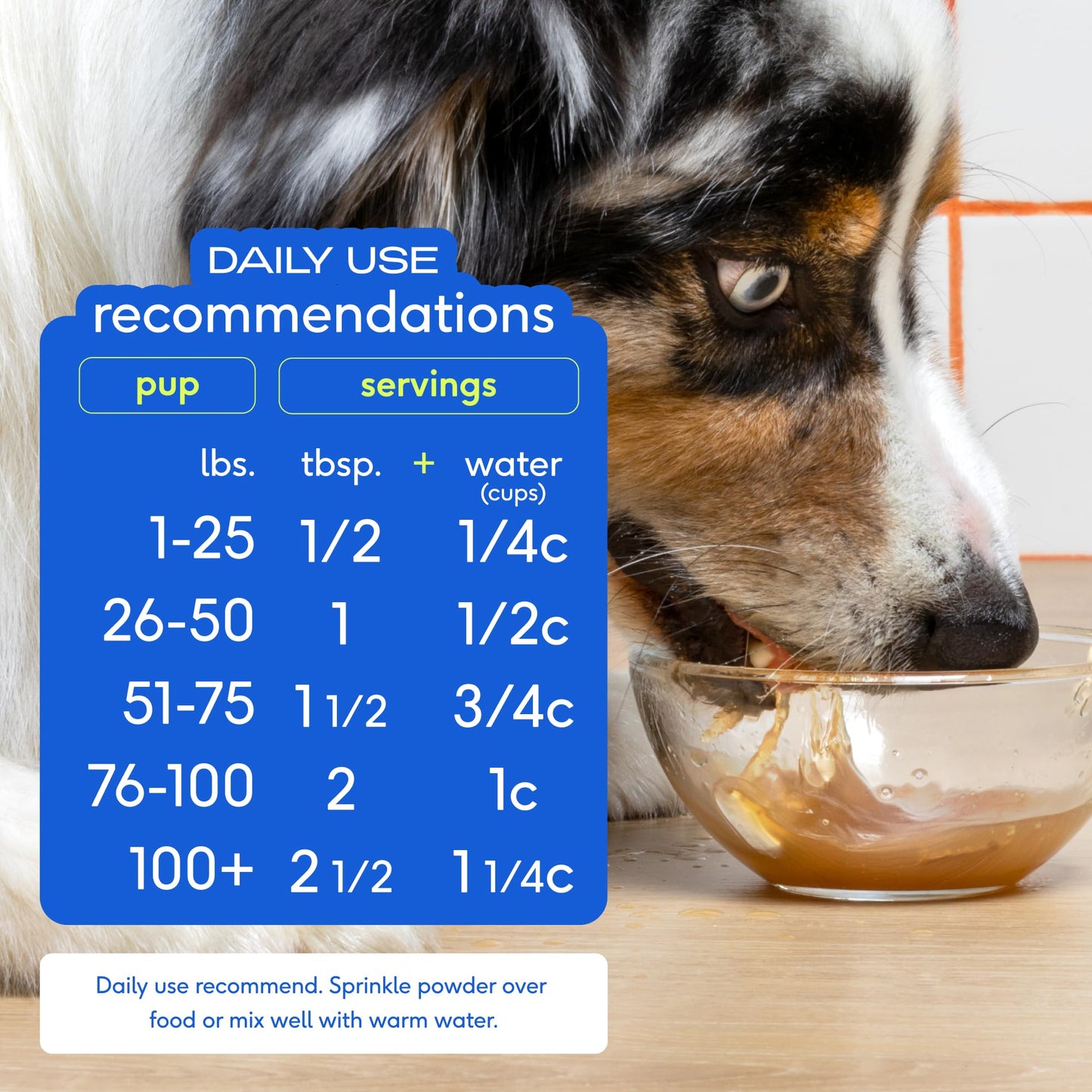Native Pet Full-Body Wellness Duo: Turkey Bone Broth Powder for Dogs (96 Servings) & Daily Dog Multivitamin (30 Scoops) - Daily 11-in-1 Multivitamin and Pet Gravy Food Topper for Picky Eaters