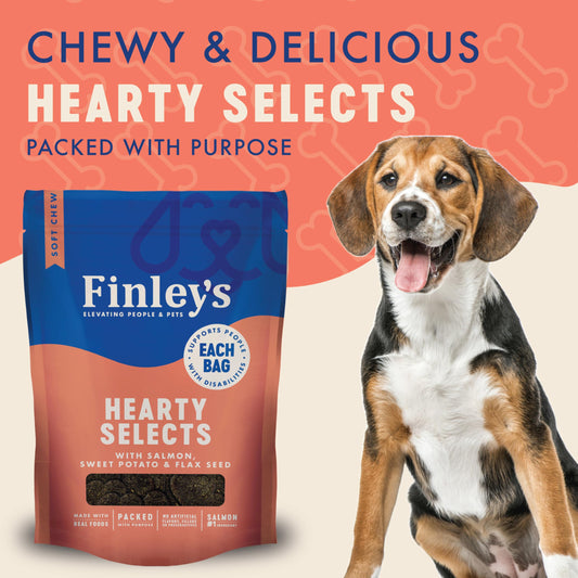 Finley's Hearty Selects Dog Treats, Hearty Selects Salmon, Sweet Potato, and Flax Seed, Soft-Baked, Functional Ingredients, Made in USA, 12 Ounce (Pack of 1)