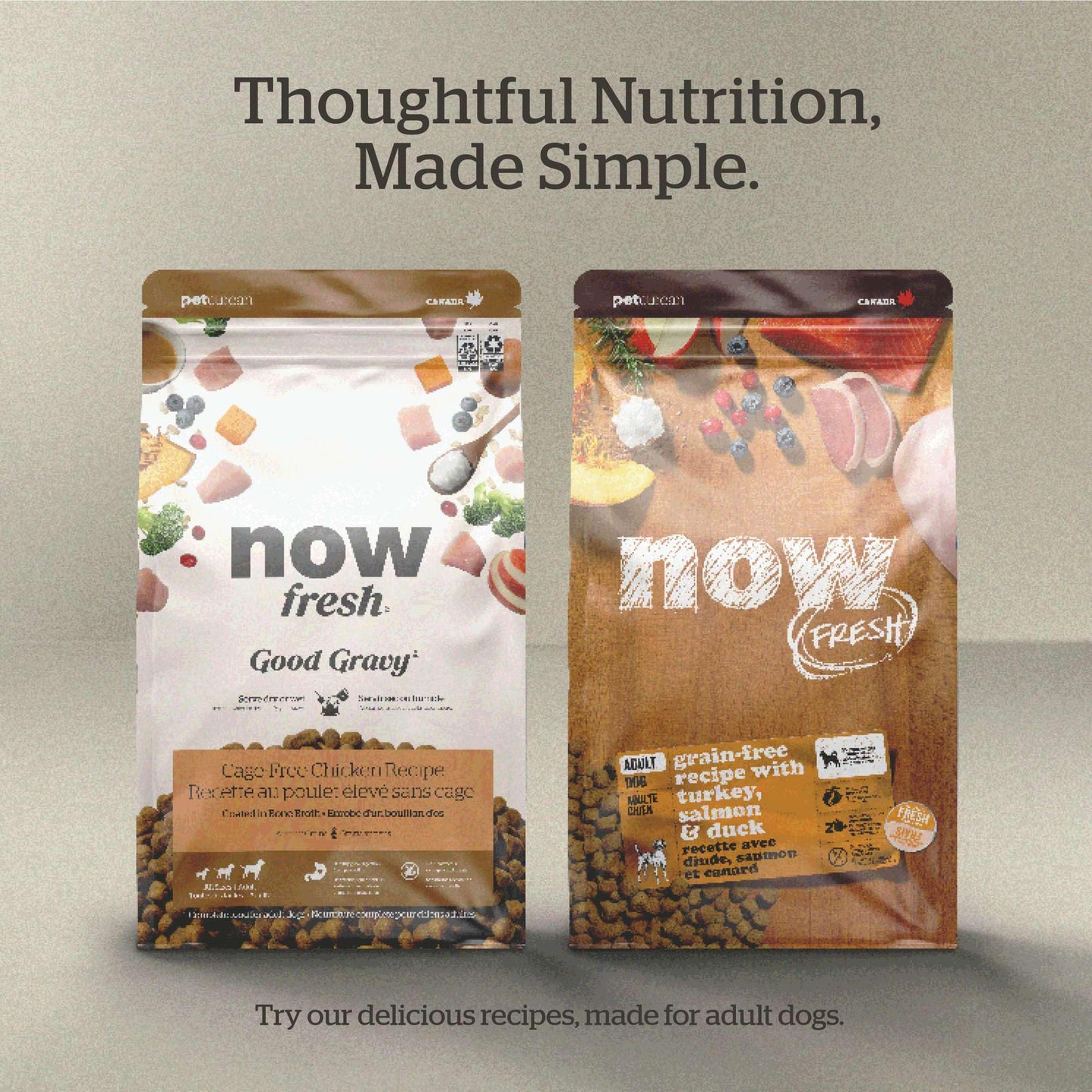 Now Fresh Good Gravy, Bone Broth Coated Kibble, Dry Dog Food, Salmon Adult Recipe with Grains, All Breed Size, 3.5 lb Bag