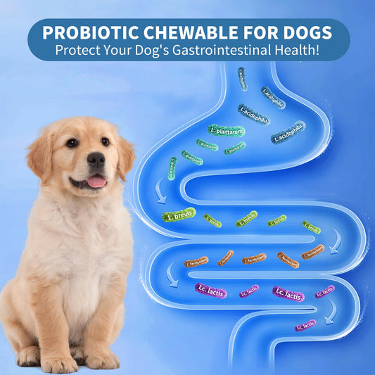 Oritess Probiotics for Dogs 200 Chews, Improve Itchy Skin Itchy Ears, Gut Health, Yeast Balance, Allergies, Immunity, Puppy Probiotic Soft Chews Reduce Diarrhea Stomach Relief (Pork)