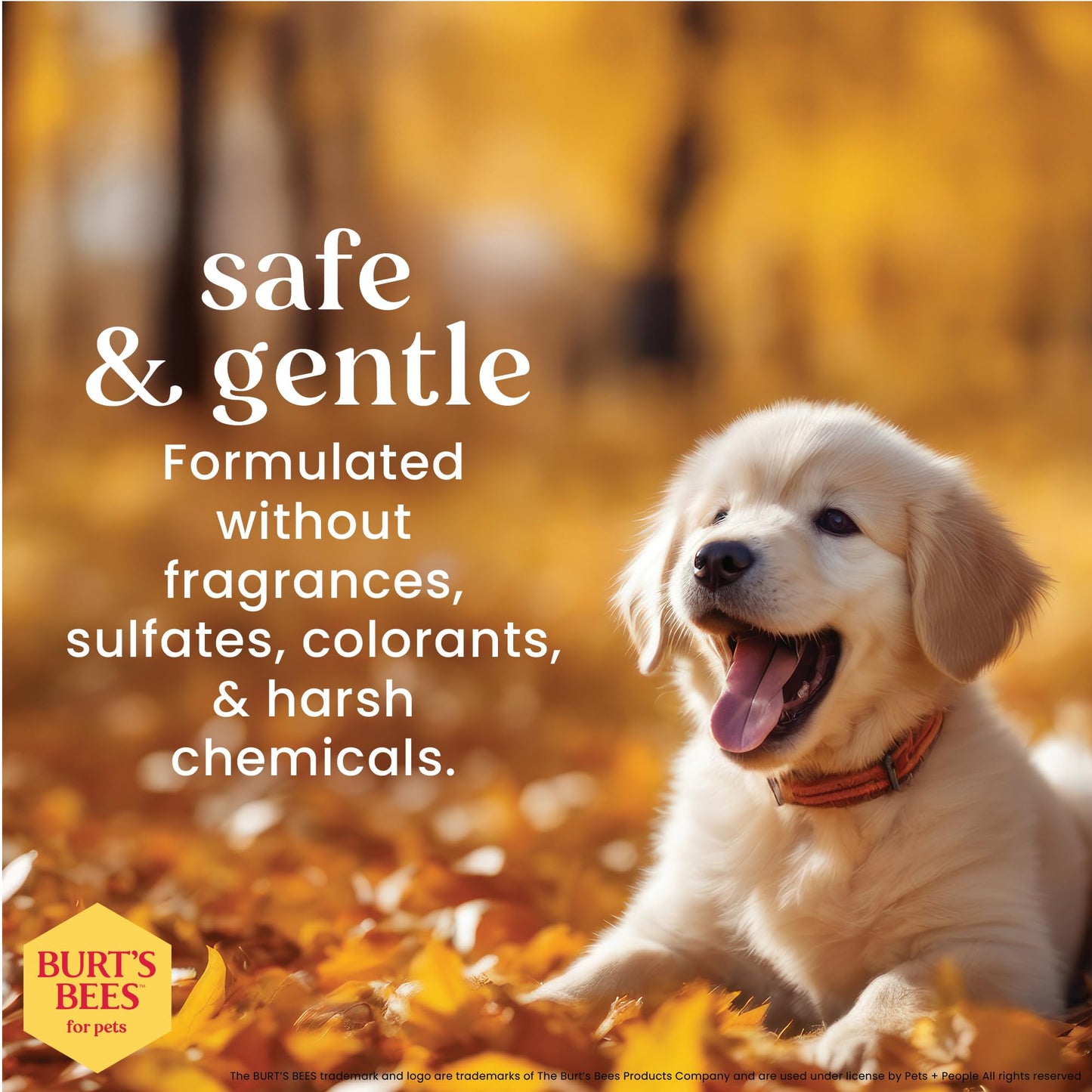 Pet'OCERA Plus 2-in-1 Dog Shampoo and Conditioner for Allergic, Itchy, Dry, Sensitive Skin, Deordorizing Detangler, Puppy Safe, Protects Skin Barrier, Tearless, Sulfate-Free, 16.9 fl oz/500ml