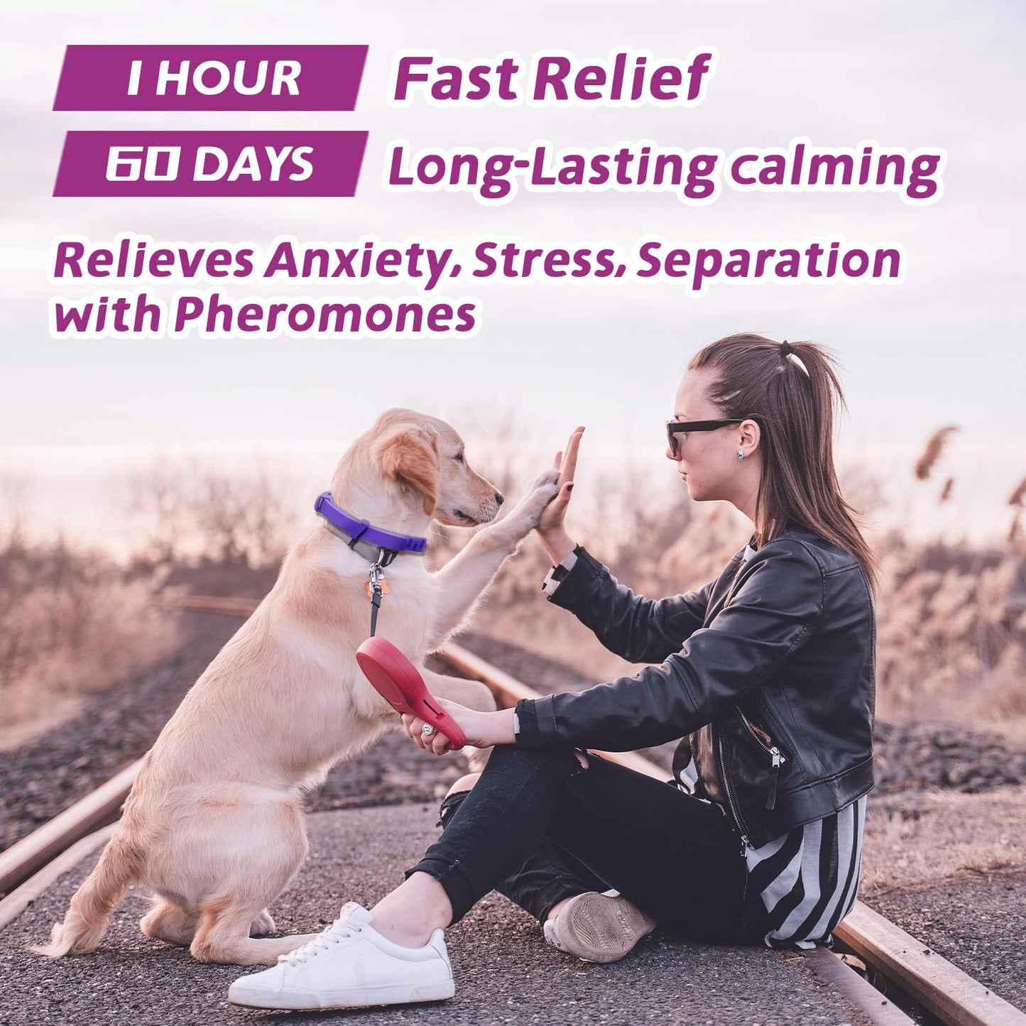 Calming Collar for Dogs 4-Pack, Dog Calming Collar Lasts 60 Days, Reduce Stress, Fits Small/Medium/Large Breeds