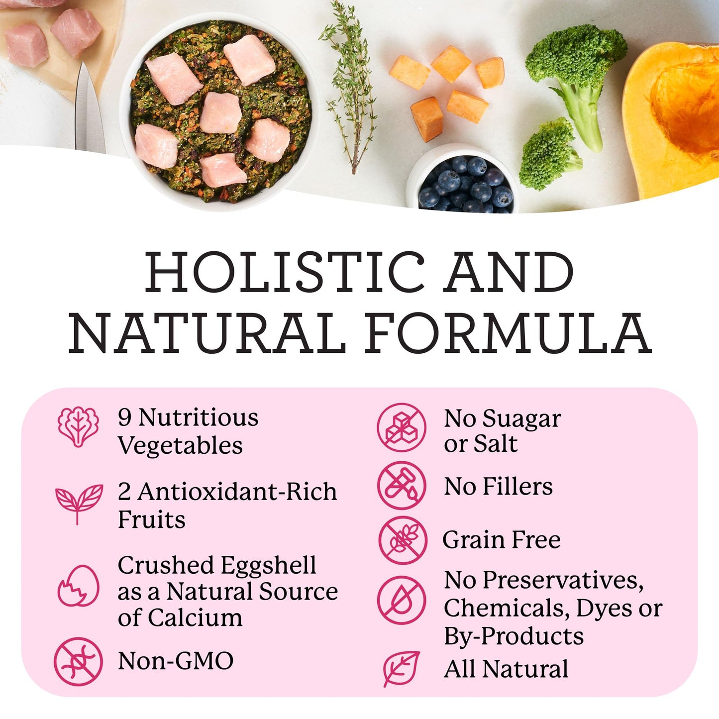 Dr. Harvey's Raw Vibrance Grain Free Dehydrated Foundation for Raw Diet Dog Food (6 Pounds)