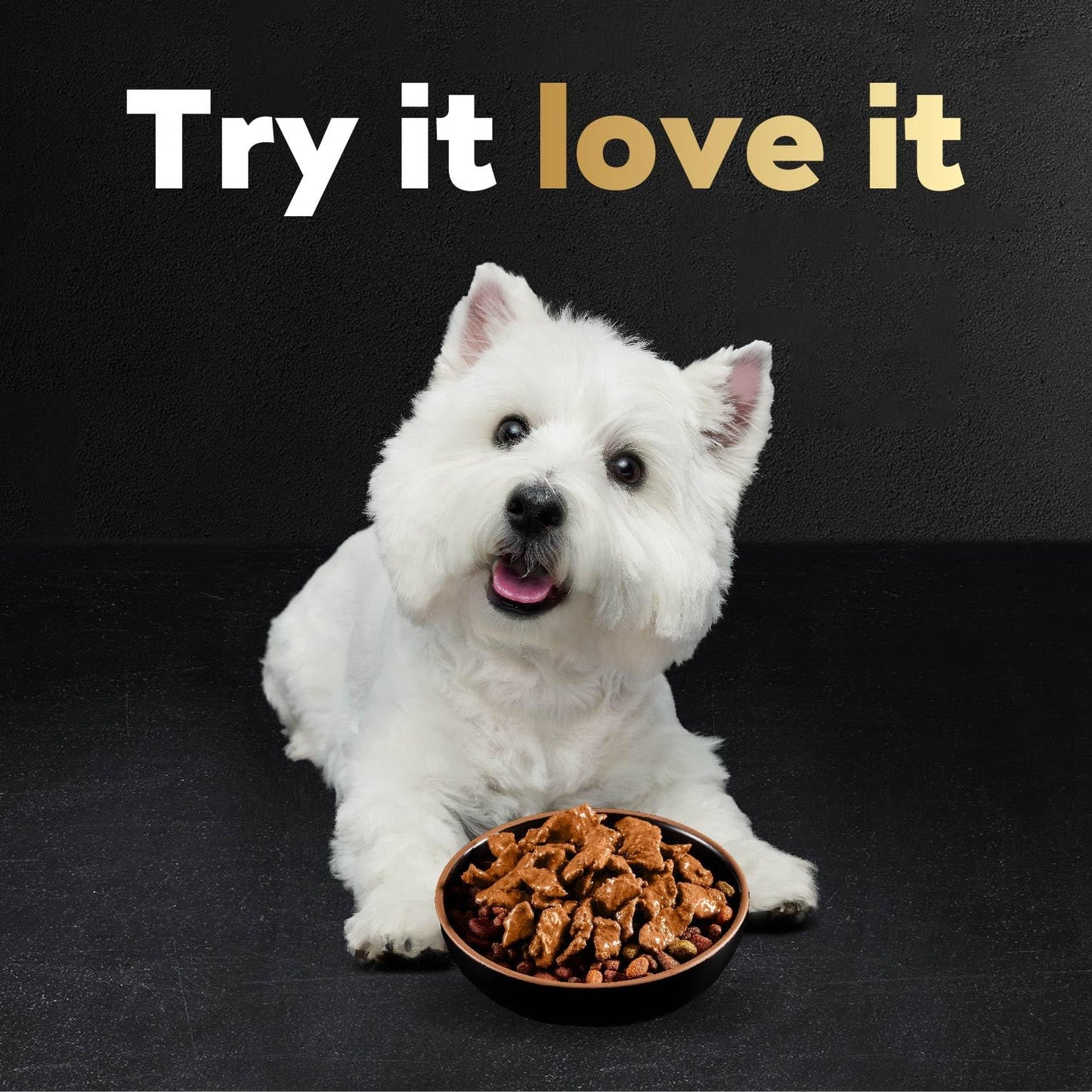 Cesar Filets in Gravy Wet Dog Food Filet Mignon Flavor, Rotisserie Chicken Flavor, and Wood-Grilled Chicken Flavor Variety Pack, 1.76 oz. Mini-Pouches (40 Count, Pack of 1)