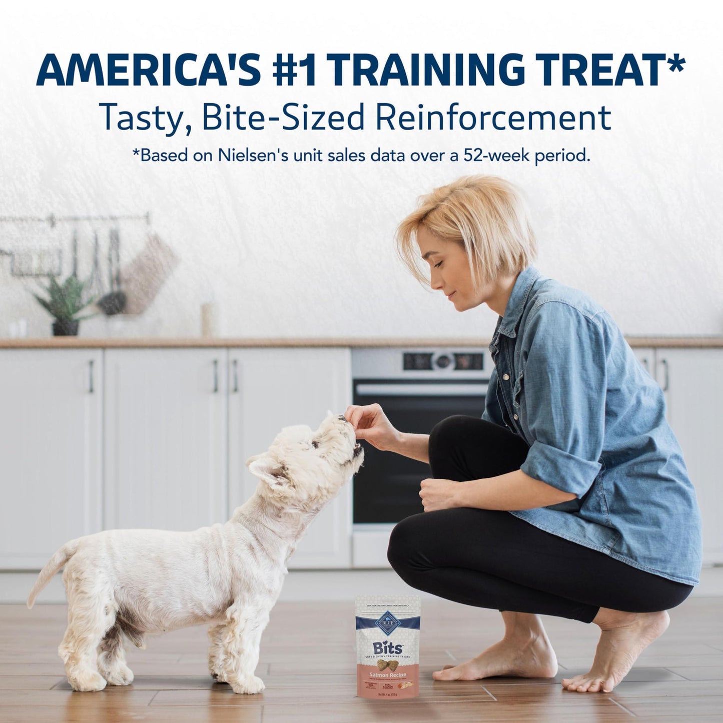 Blue Buffalo Bits Soft Dog Treats for Training, Made with Natural Ingredients & Enhanced with DHA, Salmon Recipe, 4-oz Bag