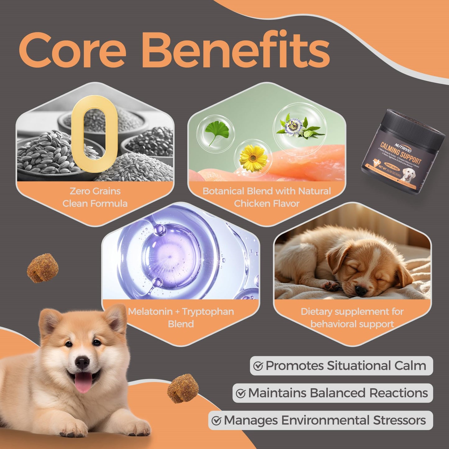 Reggie Calming Spread for Dogs | Natural Peanut Butter with Melatonin & L-Theanine to Reduce Hyperactivity, Separation Anxiety, & Stress | Vet-Approved for All Ages, Breeds, and Sizes - 30 Servings