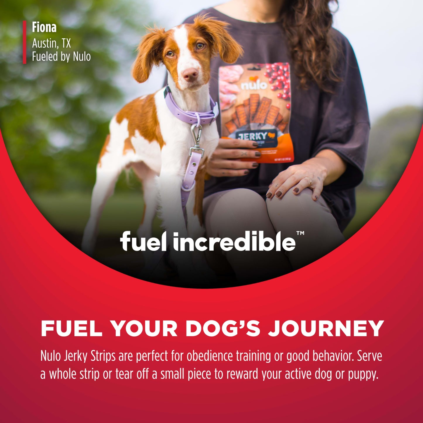 Nulo Premium Jerky Strips Dog Treats, Grain-Free High Protein Jerky Strips made with BC30 Probiotic to Support Digestive & Immune Health 5 Ounce (Pack of 1)