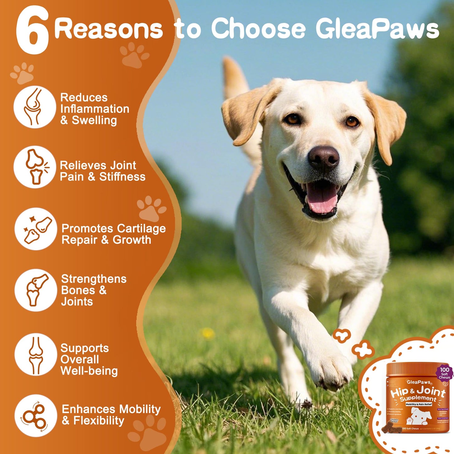 GleaPaws Hip & Joint Supplement Chews for Dog Joint Pain Relief - Glucosamine, Chondroitin, MSM for Dog Joint Collagen - Mobility Support for Senior, Large & Small Dogs - 100 Chews, Store in Dry Place