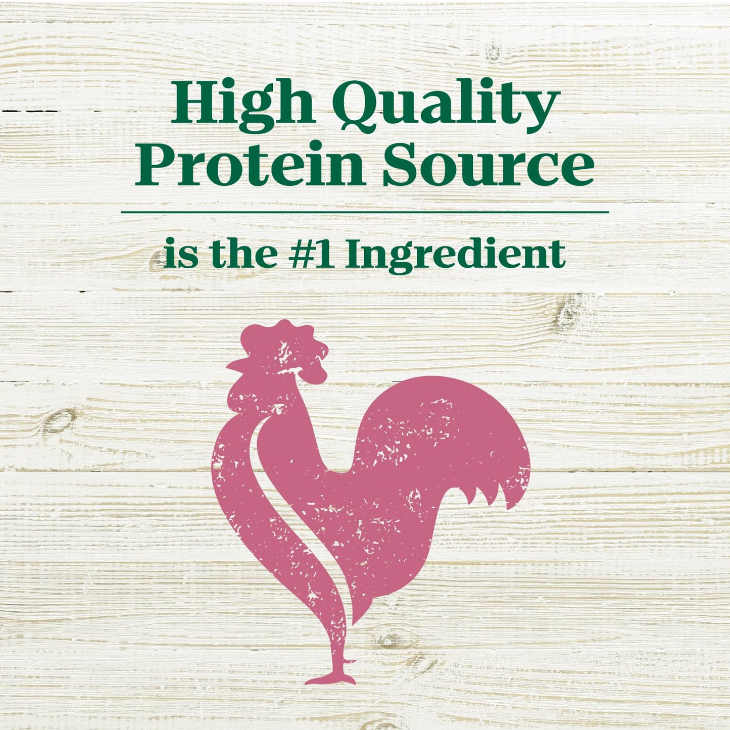 Nutro Max Adult Mini Chunk Dry Dog Food with Farm-Raised Chicken, 4 lb. Bag