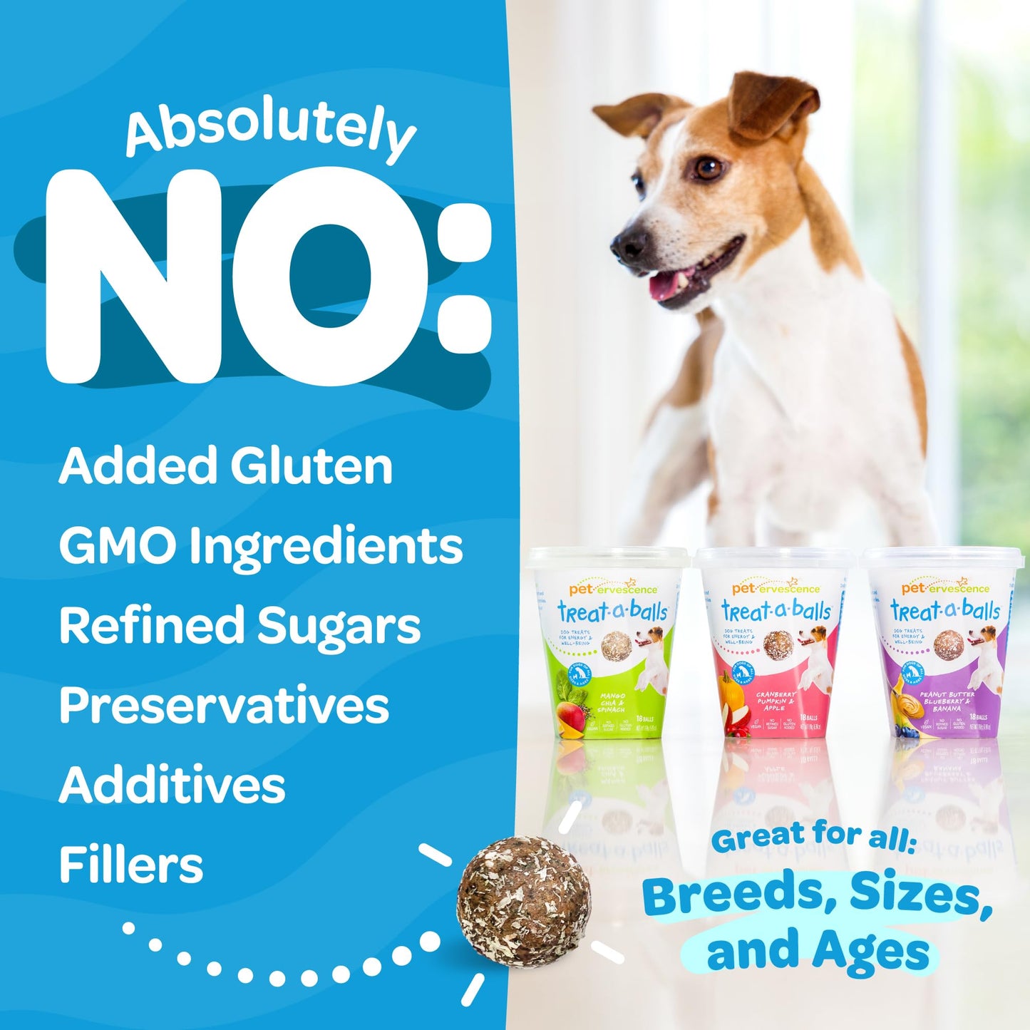 Nutritious All Natural Bulk Dog Treats - Vegan, Fiber-Rich, Human-Grade - All Breeds, Sizes, Ages - Made in New Zealand - Mango, Spinach & Chia - 6pk (108 Dog Treats Bulk)