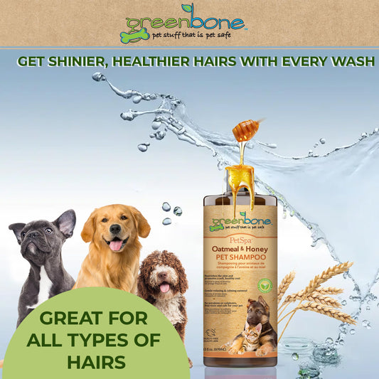 Greenbone Pet Spa Oatmeal & Honey Dog Shampoo - Calming, Soothing, Gentle Grooming Solution, 33 fl oz, Safe & Natural Formula