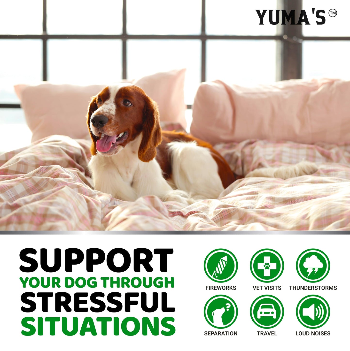 Hemp Calming Chews for Dogs - Advanced Dog Calming Chews - 170 Treats - Anxiety Relief Treats - Hemp Oil - Separation Aid, Stress, Hip and Joint Supplement for Canine Health Support - Beef Flavor