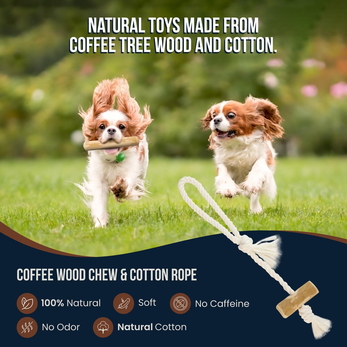 GOWGOW 4 Pack Real Coffee Wood Stick for Dogs 15-40 lbs, Puppy Teething Toys, 100% Natural Puppy Wood Chew Toys, Stress Relief - Woodden Bones for Dogs - Natural Rope Toys