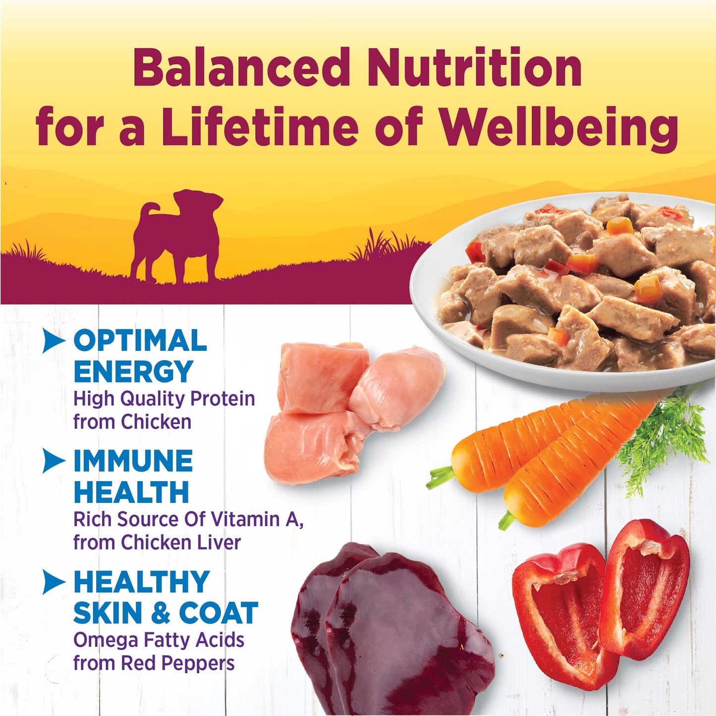 Wellness Petite Entrées Mini-Filets with Roasted Chicken, Carrots & Red Peppers in Gravy, 3-Ounce Cup (Pack of 12)