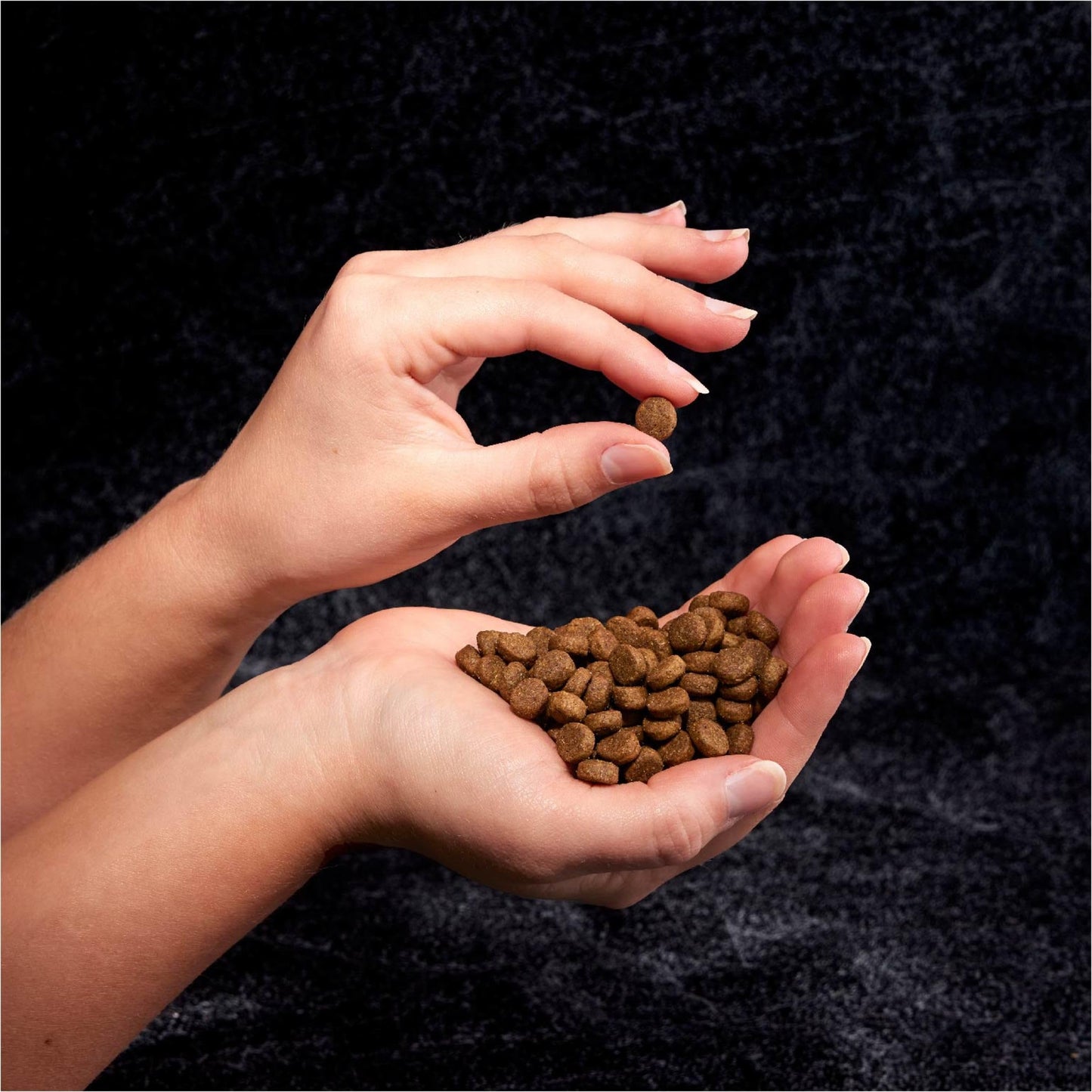 CRAVE Grain Free High Protein Adult Dry Dog Food, Beef, 22 lb. Bag