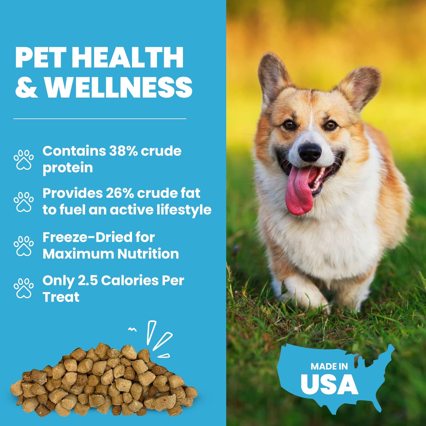 Peanut Butter Dog Treats, Healthy Puppy Treat, Pumpkin, Cricket, Gift for Pet Lovers, Natural Dog Snacks, Hypoallergenic, Gut-Healthy, Medium and Large Dogs, Sustainable Products