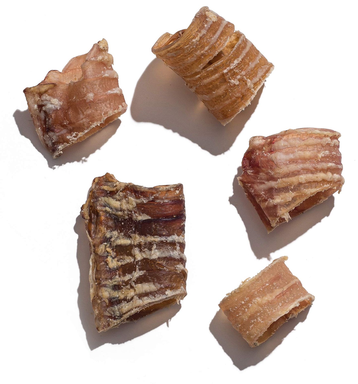 Jack&Pup Trachea Dog Chew - 3-inch Beef Trachea Bites for Dogs (16 oz) Natural Dog Treat for Dogs - Rich in Glucosamine and Chondroitin 100% Beef Chews