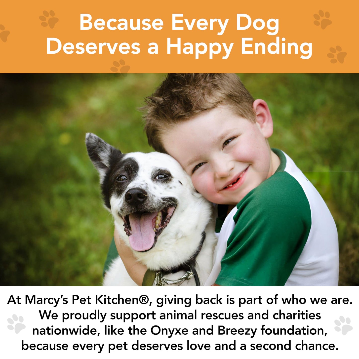 Marcy's Pet Kitchen- Diabetic All Natural, Crunchy, Pumpkin Biscuit Dog Treats - No Preservatives-Crunchy Approved- Vegan, Gluten Free, Human Grade, Made in The USA, Healthy Pumpkin Dog Treats