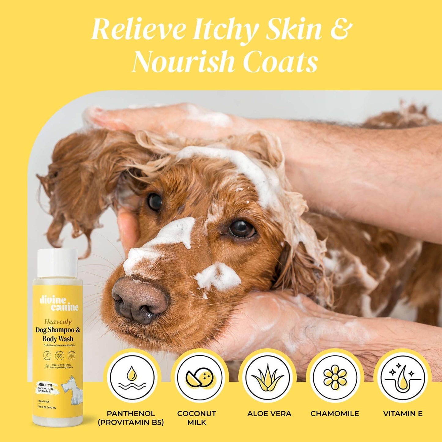 Divine Canine Heavenly Dog Shampoo & Body Wash - Anti-Itch - Dog Shampoos - pH Balanced Conditioning Dog Bath Blend with Collagen, Aloe, Coconut Milk, Vitamin E - Soothe Itchy Skin & Coat - 13.5oz