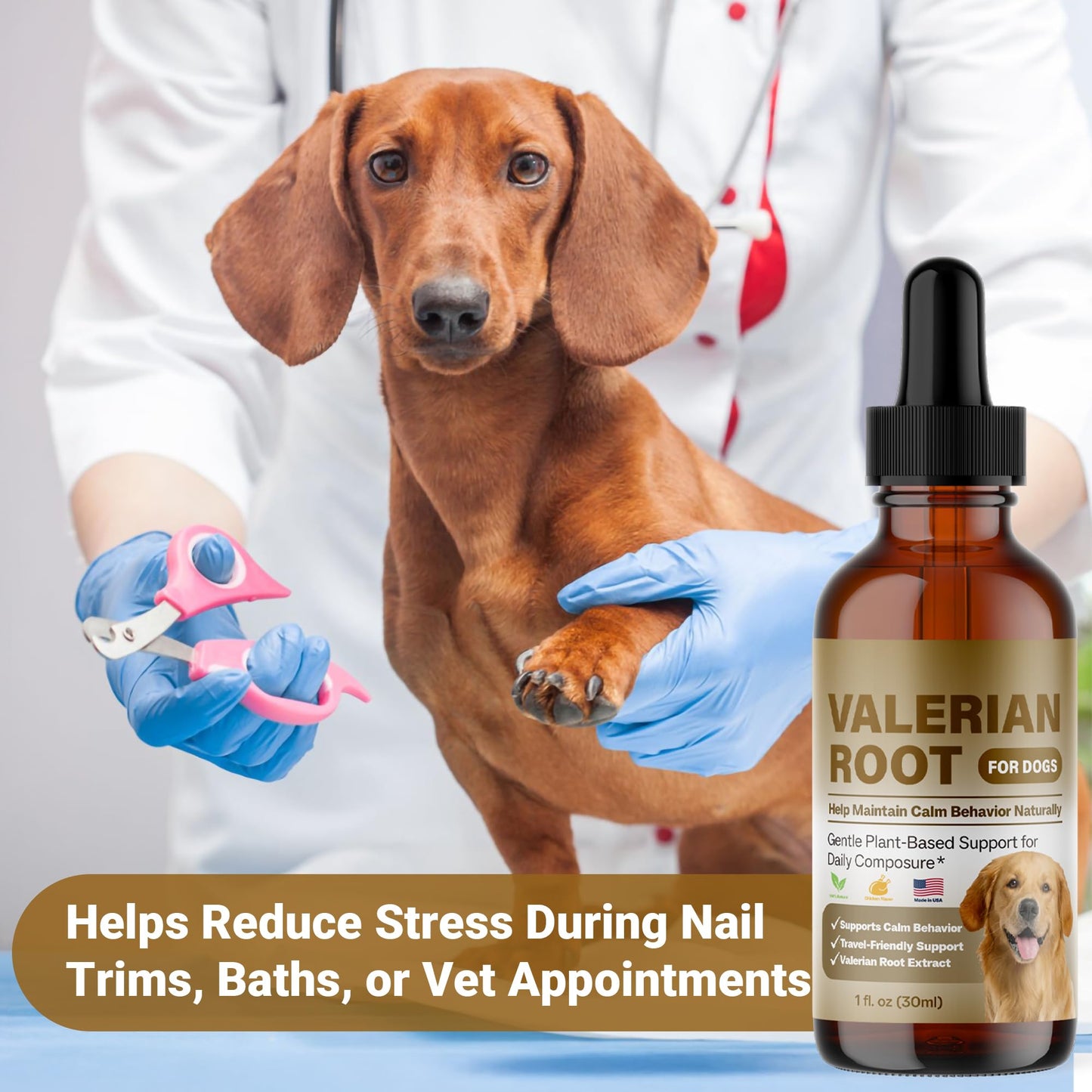 Valerian Root for Dogs, Natural Calming Support for Environmental Stress, Vet Visits, Travel & Time Spent Home Alone, Herbal Supplement, 30ml