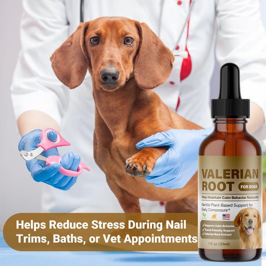 Valerian Root for Dogs, Natural Calming Support for Environmental Stress, Vet Visits, Travel & Time Spent Home Alone, Herbal Supplement, 30ml