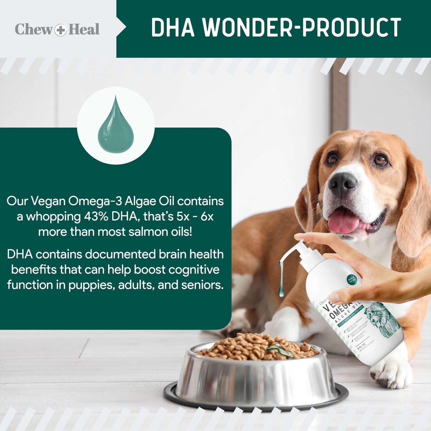 Vegan Omega 3 Oil for Dogs - 8 oz of Fish Free Algae Oil for Healthy Skin and Coat - Made with Omega 3 and 6 Fatty Acids, EPA, DHA, and DPA - Made in The USA