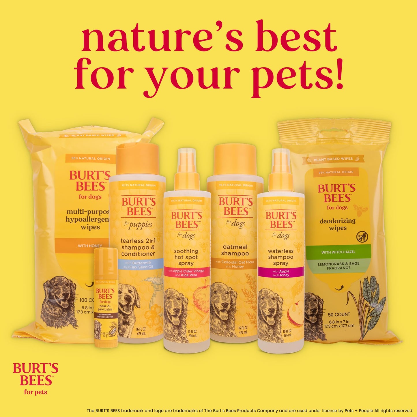 Pet'OCERA Plus 2-in-1 Dog Shampoo and Conditioner for Allergic, Itchy, Dry, Sensitive Skin, Deordorizing Detangler, Puppy Safe, Protects Skin Barrier, Tearless, Sulfate-Free, 16.9 fl oz/500ml