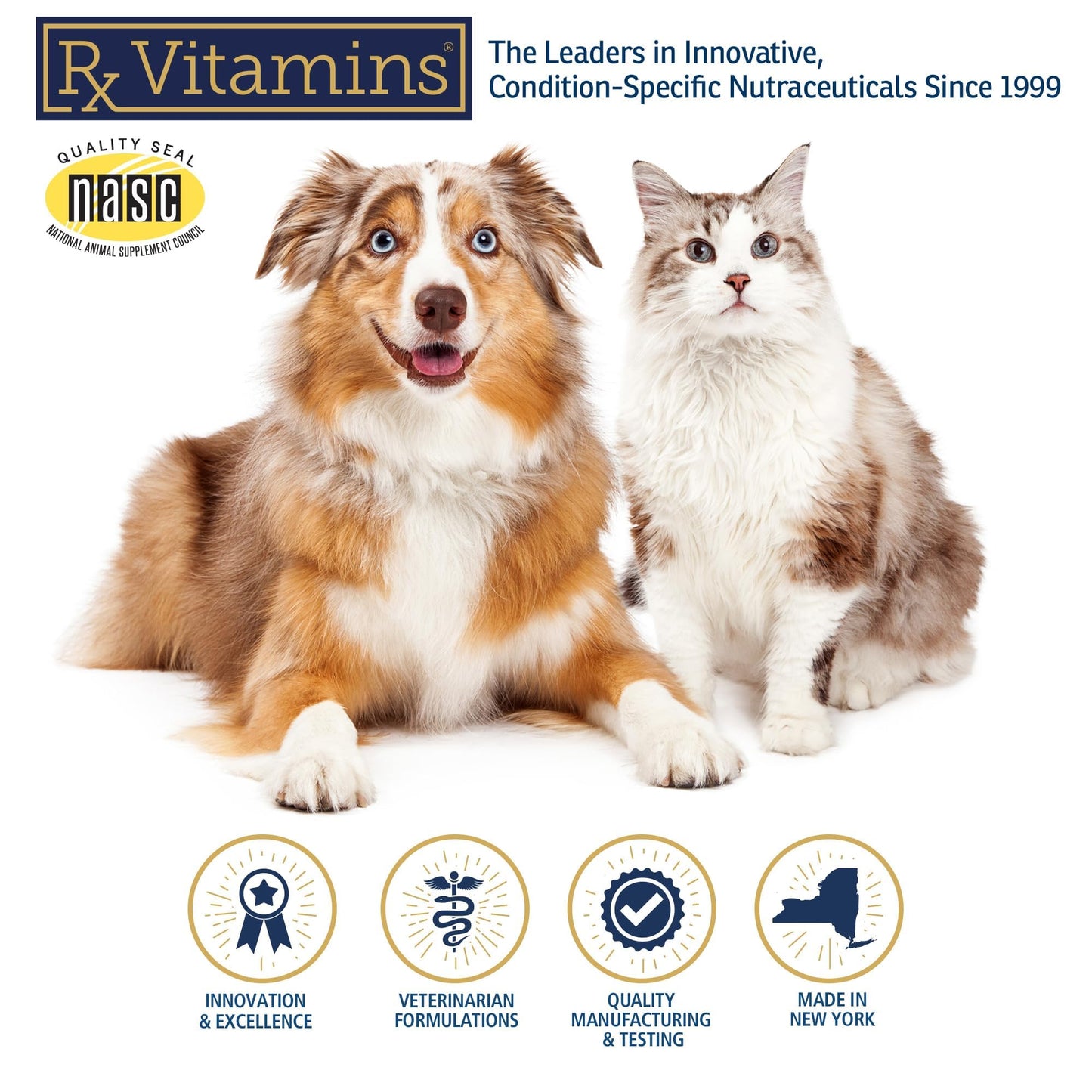 Rx Vitamins Canine Minerals - Essential Minerals for Dogs - Calcium, Magnesium, Iron Supplement, Bone and Joint Supplement for K9, Immune Support - 16oz