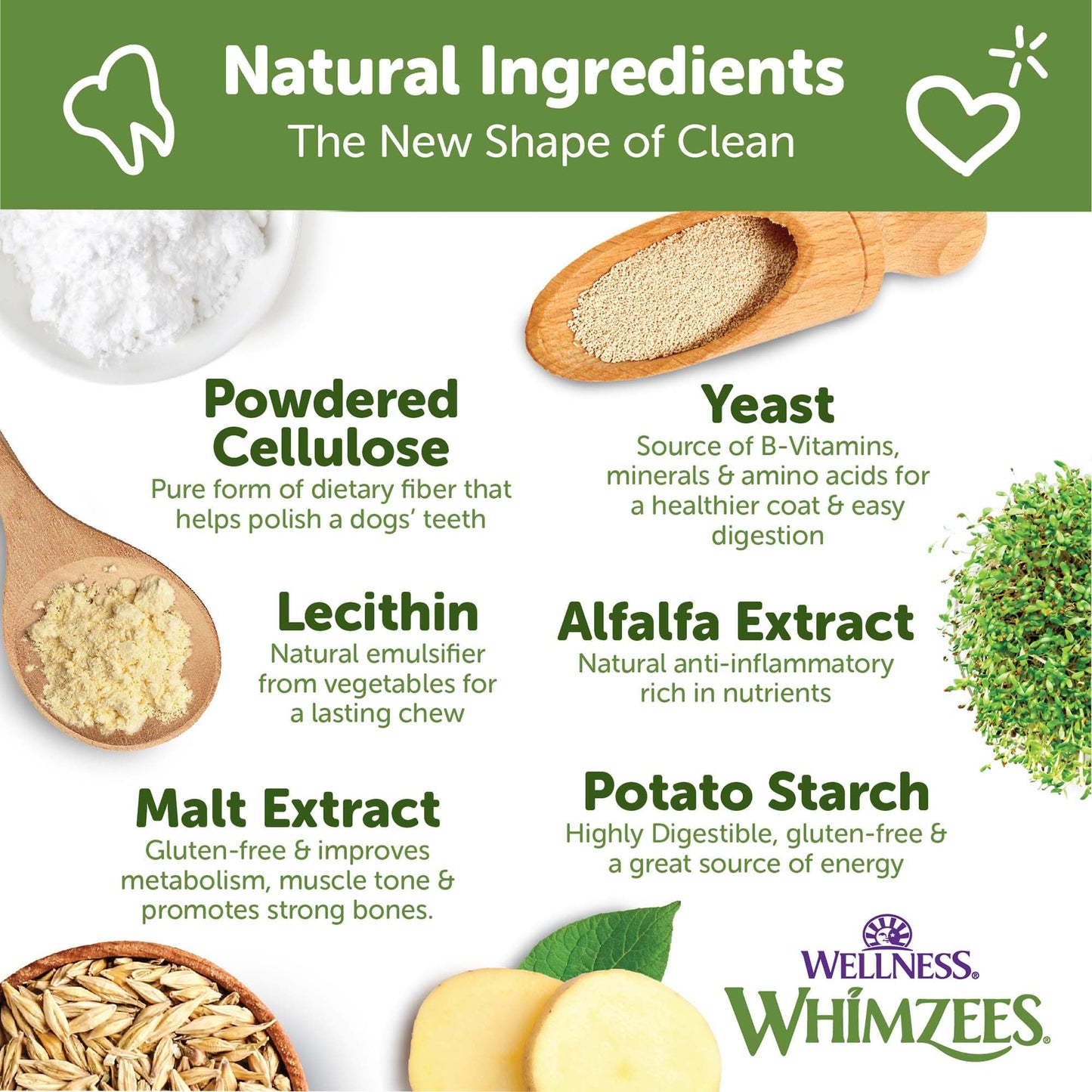 Wellness WHIMZEES Brushzees Dog Dental Treats, Natural Chews, Extra Small Size Stick, (48 Count)