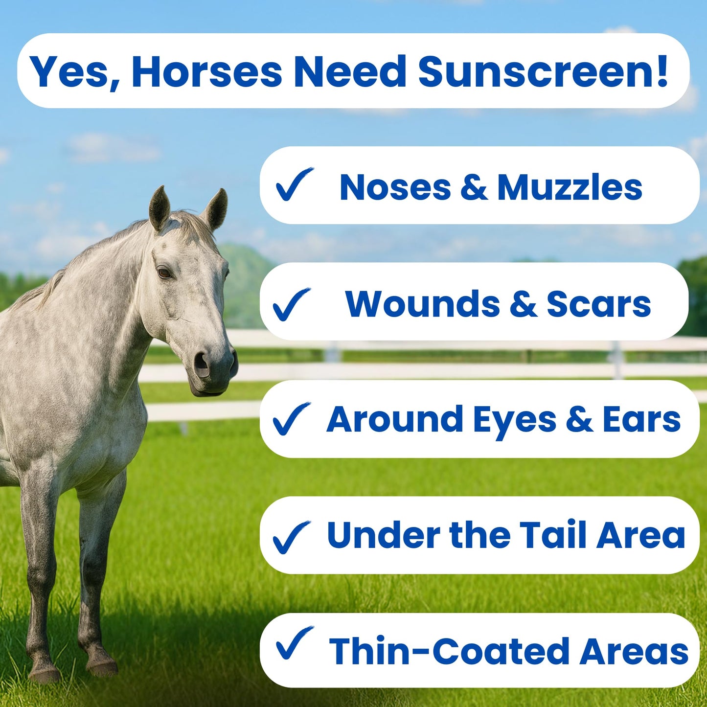 Sit Stay Forever Organic Sunscreen & Moisturizer for Horses, Suncoat, Sun Protection for Nose and Sensitive Skin, Sunblock for Horses, Zinc Free, Equine Sunscreen, Equine UV Protection, 4 oz