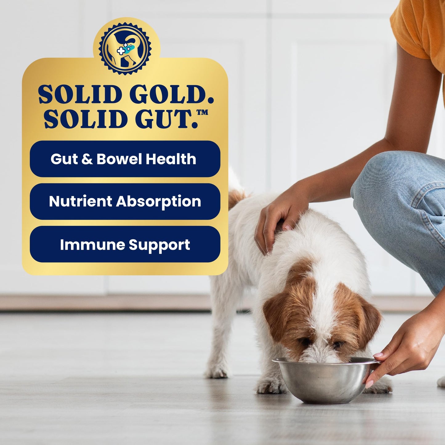Solid Gold Weight Management Dog Food Wet - High Fiber Grain Free Dog Food Wet Recipe w/Real Chicken, Sweet Potato & Green Beans - Healthy Weight & Gut Health Support for Dogs - 6ct/12.5oz Cans