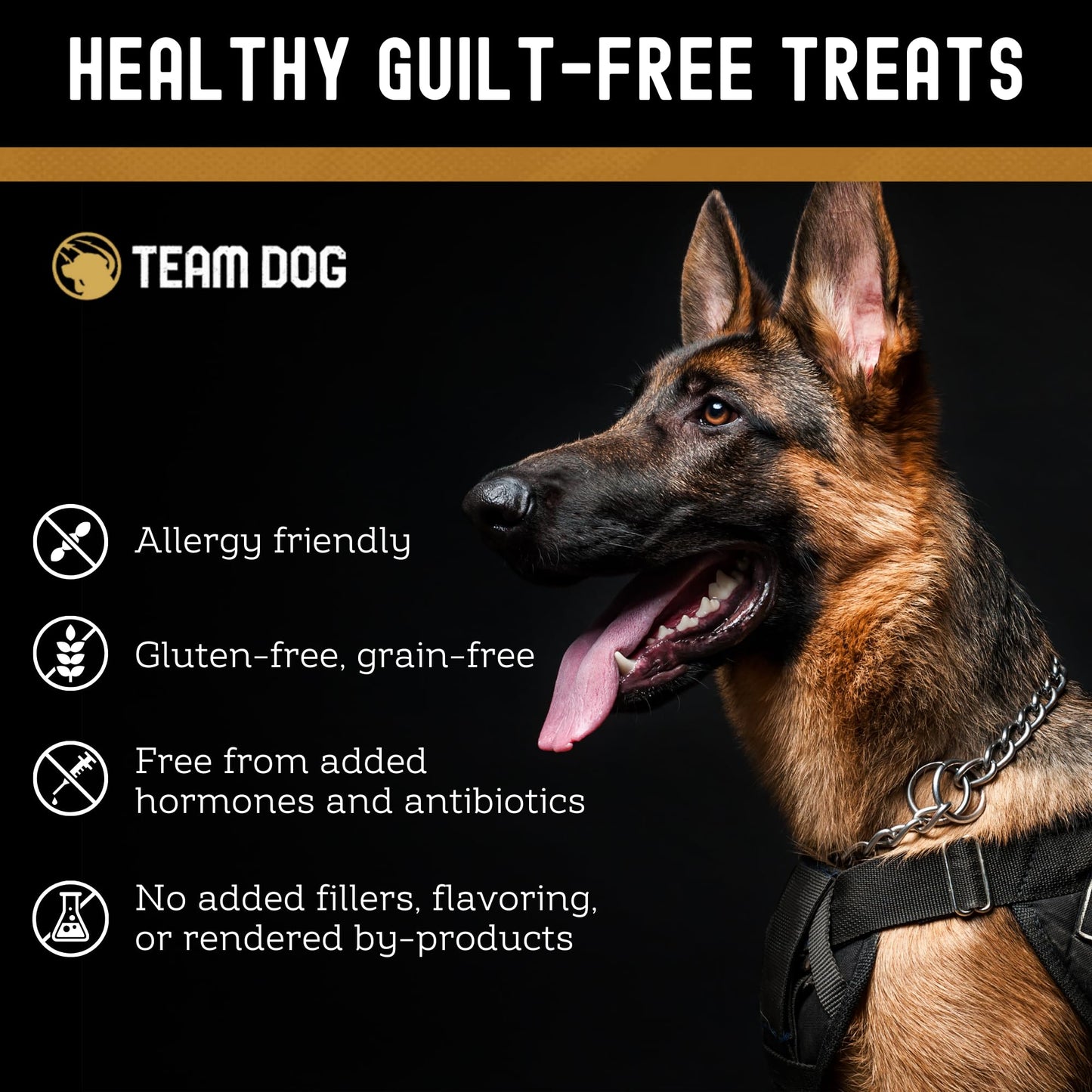 Team Dog Wild Alaskan Salmon Skin Treats for Dogs | Gluten Free, Grain Free, Single Ingredient | Freeze-Dried Raw Dog Treats Rich in Omega 3 | Promotes Healthy Skin & Coat | 4 Dog Chews per Bag