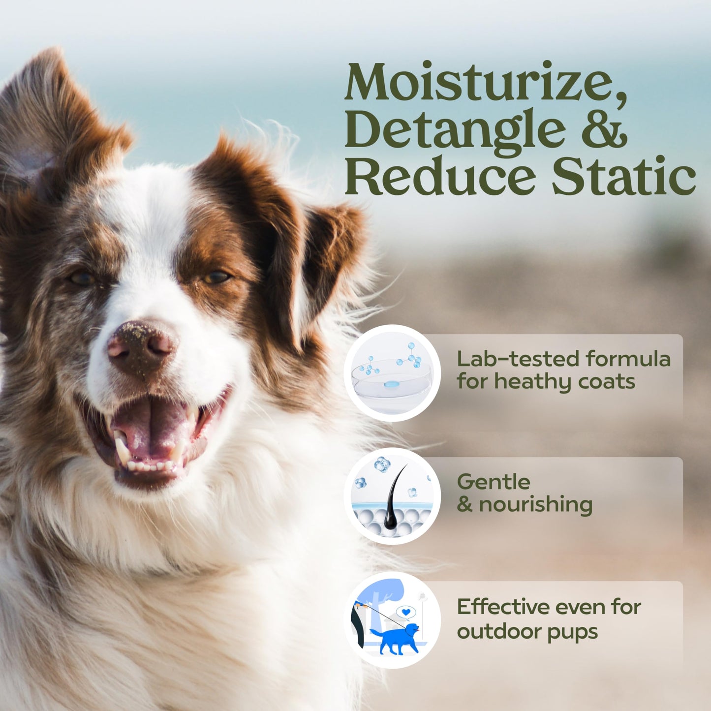 Pawfume Premium Shampoo + Grooming & Finishing Spray bundle