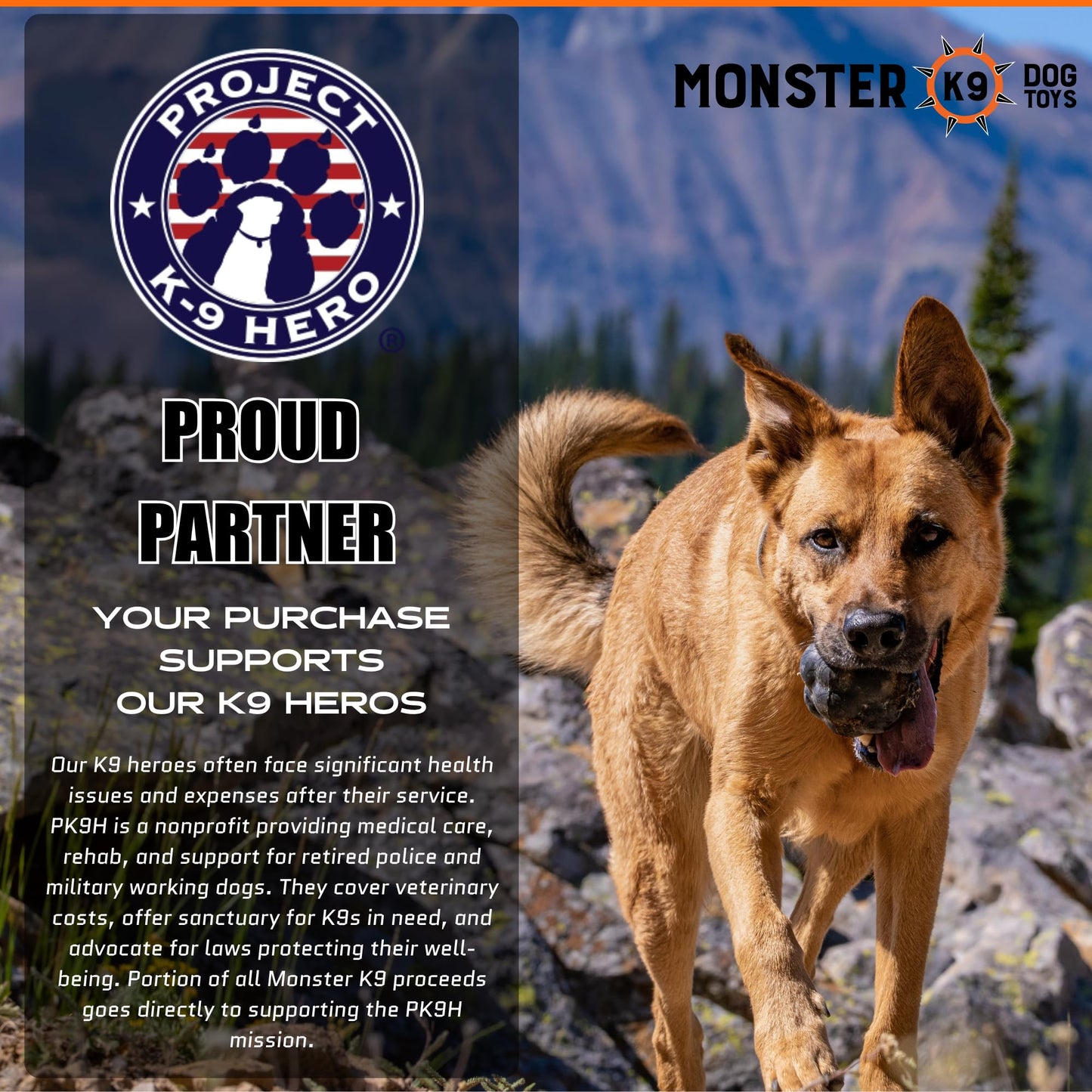 Kseroo P Dog Toys for Aggressive Chewers, Indestructible Dog Toy, Octopus Squeaky Dogs Chew Toys for Medium and Large Breed—Keep Dogs Busy for Summer Pool Party, Outdoor Travel, Blue