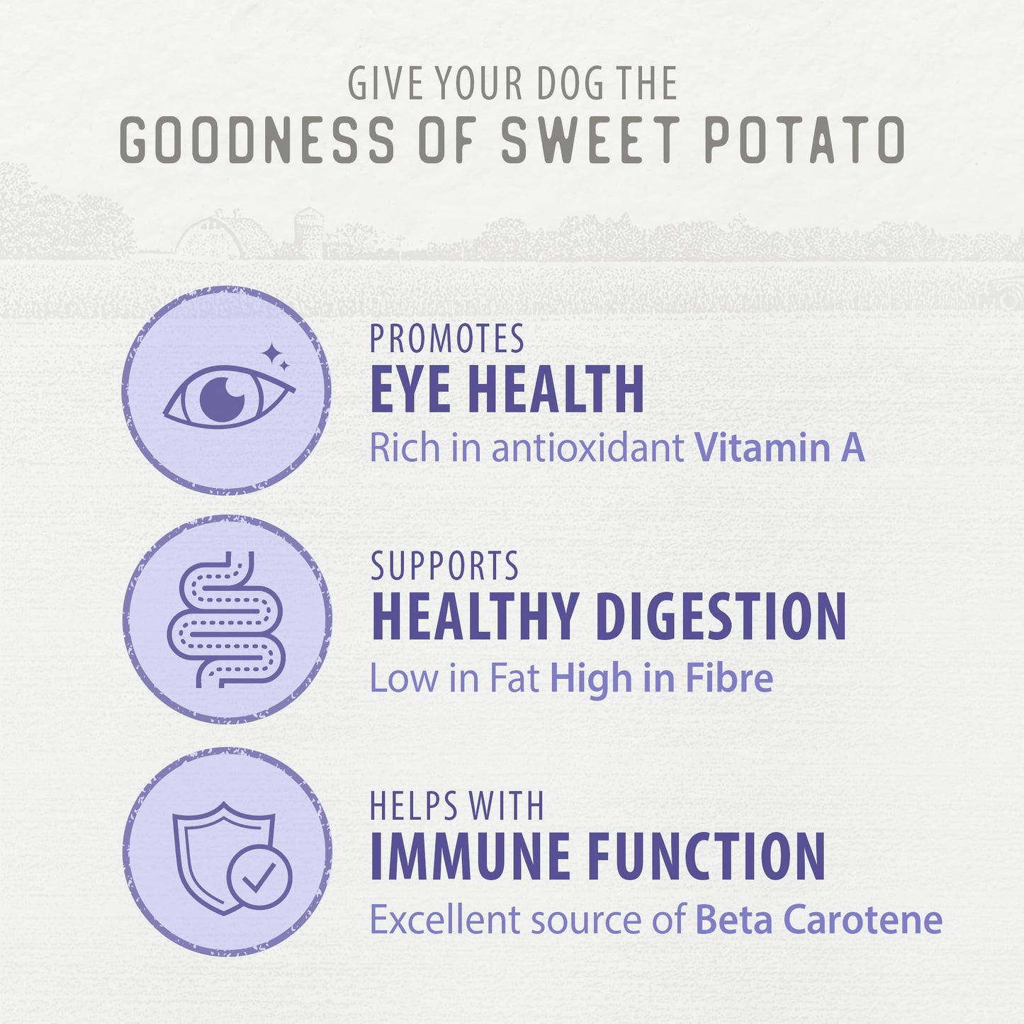 DOGSWELL Dental Chicken Jerky 12 Ounce