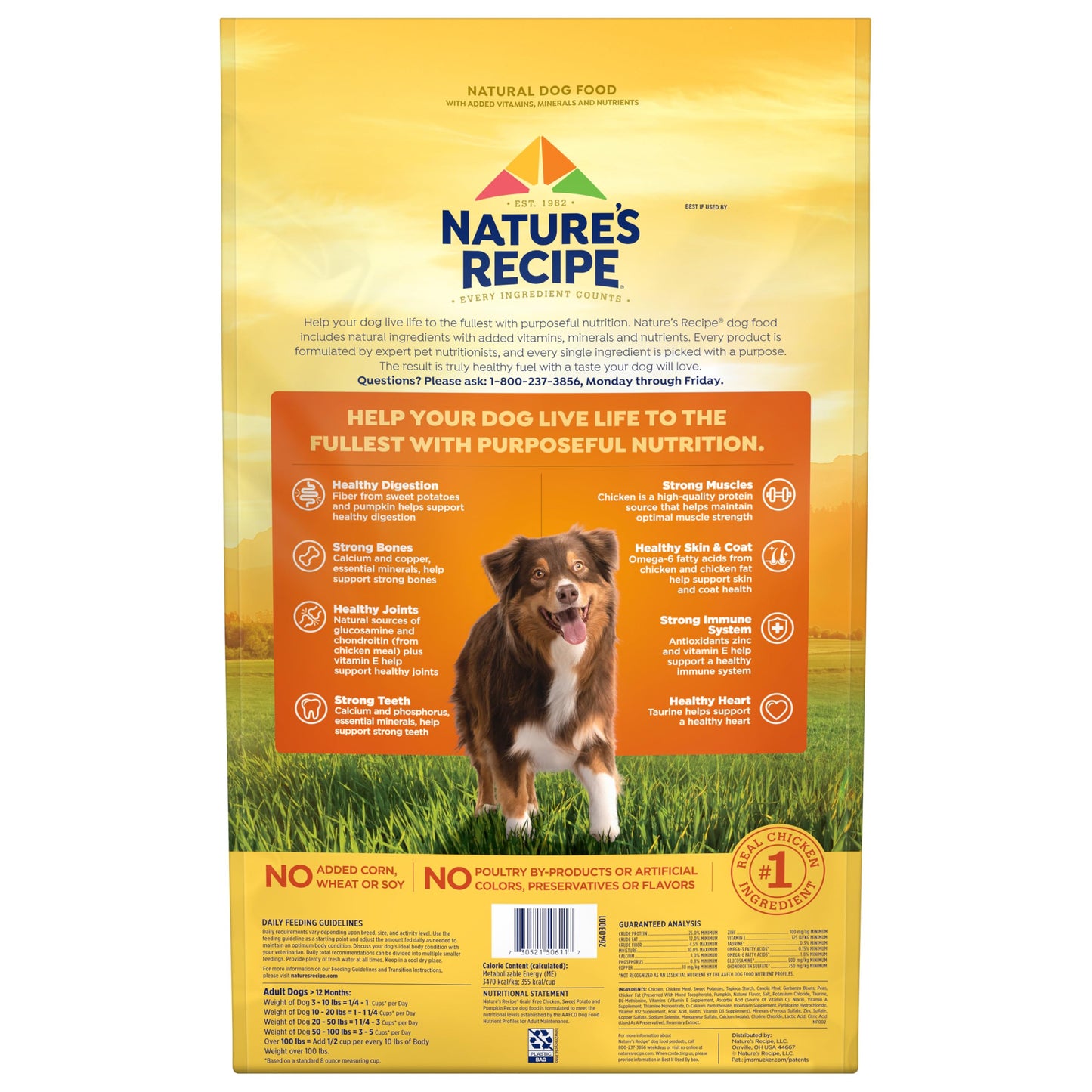 Nature’s Recipe Grain Free Chicken, Sweet Potato & Pumpkin Recipe Dry Dog Food, 24 lb. Bag