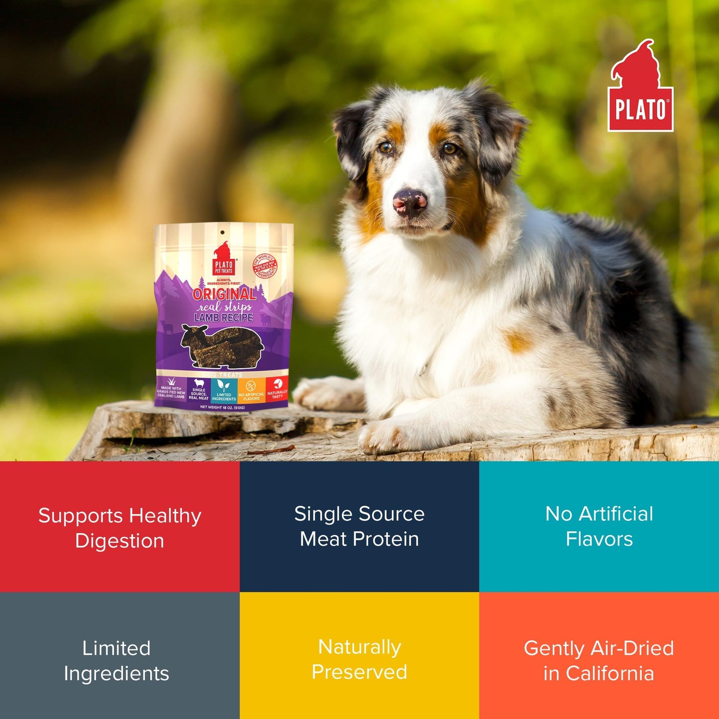 PLATO Pet Treats Real Strips - Air-Dried Meat Bars for Dogs - Delicious, Limited Ingredient Dog Treats - Grain Free - Original Real Strips Lamb 6oz