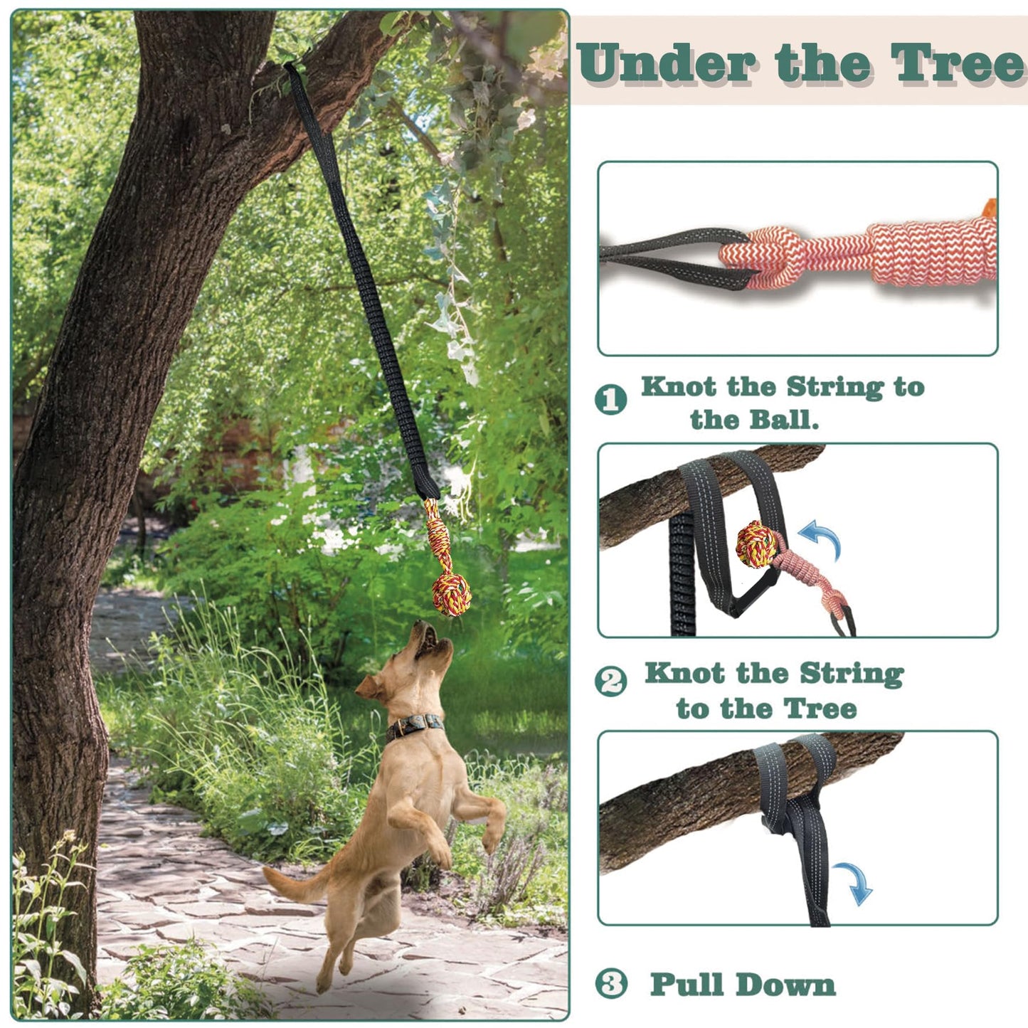 Dog Bungee Tug Toy for Large/Medium/Small Dogs, Dog tug of war Toy with Stake,Outdoor Interactive Toys Can Be Used on Lawns or Trees